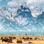 Wyoming landscape