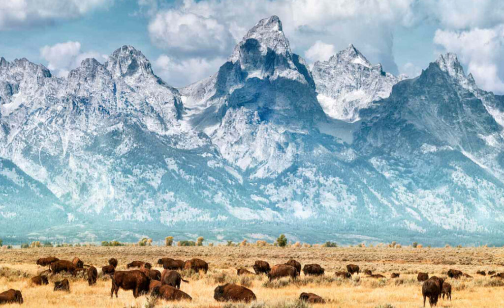 Wyoming landscape